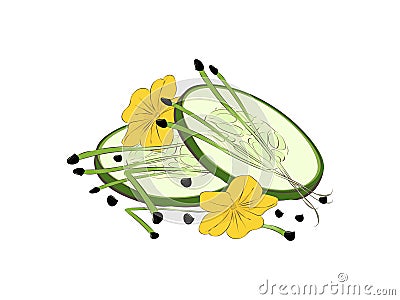 Microgreen. Healthy eating Close-up. Design element. Vector Illustration