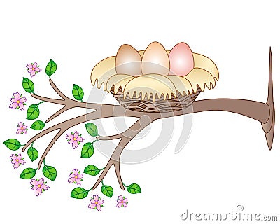 Nest with three eggs on a flowering tree - vector spring full color picture. A bird`s cozy cute nest on a branch with pink flower Vector Illustration