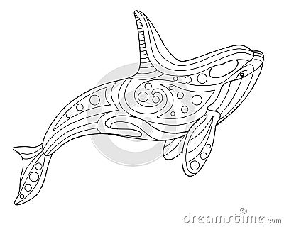 Killer whale - antistress coloring book - vector linear picture on the marine theme. Picture for coloring book - orca Vector Illustration