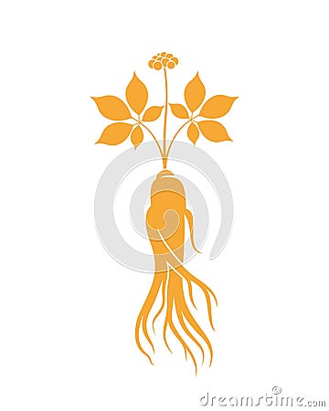 Ginseng logo. Isolated ginseng on white background Vector Illustration