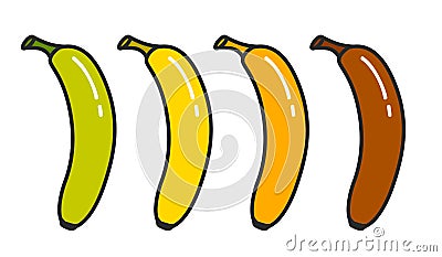 Vector banana growing evolution icons Vector Illustration