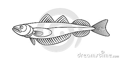 Whiting outline. Fish. Isolated whiting on white background Vector Illustration