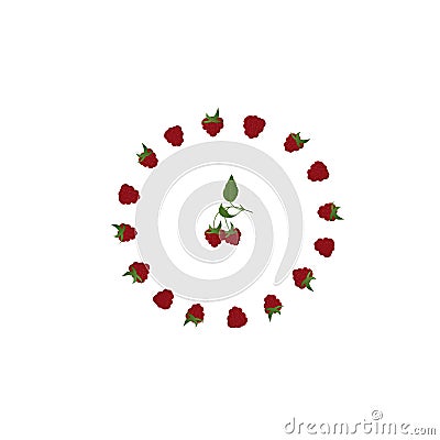 Circle of red berries. Pattern of raspberries, white flowers in the shape of a circle. Stock Photo
