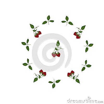 Circle of red berries. Pattern of raspberries, white flowers in the shape of a circle. Stock Photo