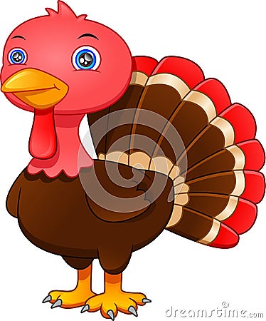 Cute baby turkey bird cartoon isolated on a white background Vector Illustration