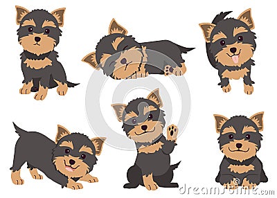 The collection of Yorkshire terrier in many action. Vector Illustration