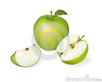 Green Apple: Whole, half and slice Vector Illustration