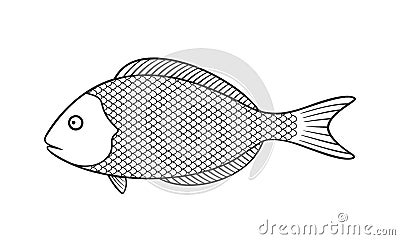 Dorado Fish outline. Isolated Dorado Fish on white background Vector Illustration