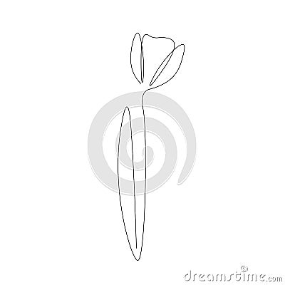 Flower on white background Stock Photo