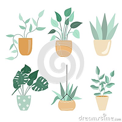 Potted flowers isolated vector illustration on white background Vector Illustration