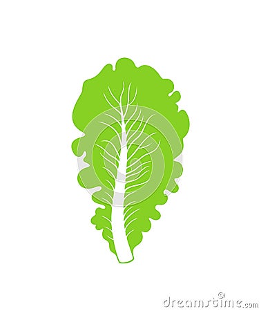 Romaine lettuce logo. Isolated lettuce on white background Vector Illustration