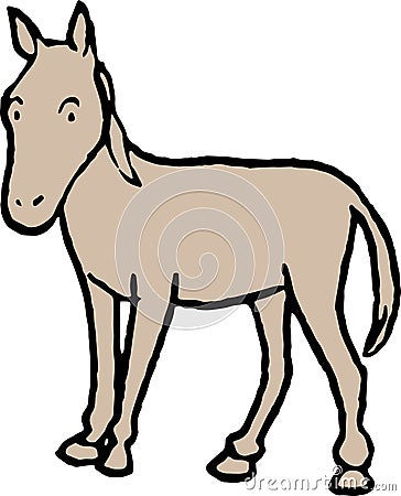 Foal illustration design on white Vector Illustration