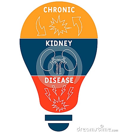 CKD - Chronic Kidney Disease acronym, medical concept background. Vector Illustration