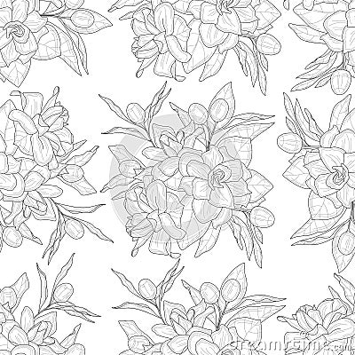 Realistic magnolia flowers bouquet seamless pattern sketch template Vector Illustration