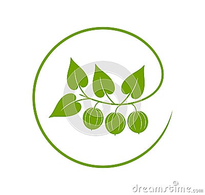 Monk fruit logo. Isolated monk fruit on white background Vector Illustration