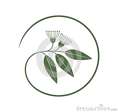 Eucalyptus logo. Isolated eucalyptus on white background Vector Illustration