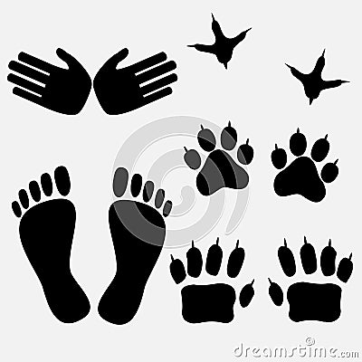 Human Animal Footprints Vector Illustration