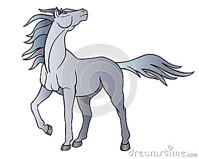 Horse. A beautiful gray stallion looks into the sky, the wind flutters its long mane and tail - vector full color picture with an Vector Illustration