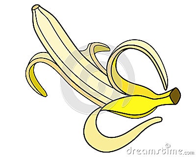 Banana open with peel. Bright yellow ripe peeled banana - tropical fruit - vector full color illustration. A juicy healthy fruit - Vector Illustration