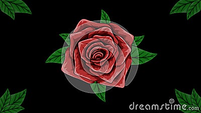 Design dark rose minimal style hand drawl Vector Illustration