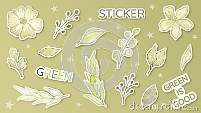 Watercolor leaves minimal style sticker green leaf floral design botany Vector Illustration