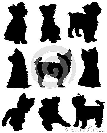 Yorkshire Terrier Dog Silhouette Pack Vector Illustration