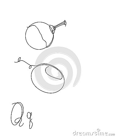 One line tropical exotic fruit quenepa Vector Illustration