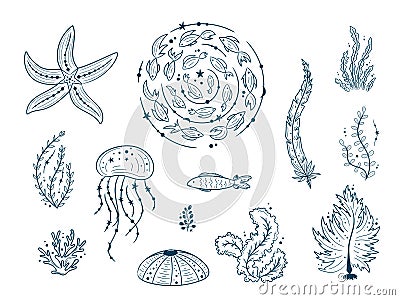 Silhouettes of sea life outline isolated on white background. Vector Hand drawn illustrations of engraved line. Vector Illustration