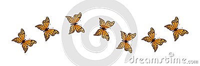 Butterflies flying on line route. Beauty colorful insects with open wings set. Stock Photo