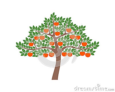 Persimmon tree logo. Isolated persimm tree on white background Vector Illustration