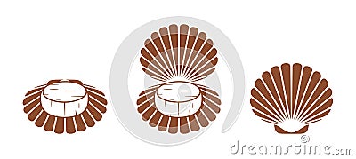 Scallop logo. Isolated scallop on white background Vector Illustration