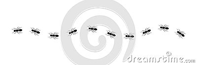 Ant trail silhouette. Line of working ants set. Black insect colony. Cartoon Illustration