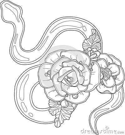 Cartoon snake and rose flowers graphic template sketch. Vector illustration in black and white Vector Illustration