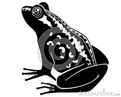 Frog sitting, toad - vector silhouette picture for logo or pictogram. Toad, amphibious animal - sign or icon Vector Illustration