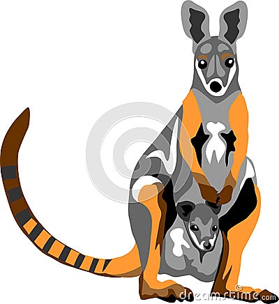 Yellow footed rock wallaby Vector Illustration