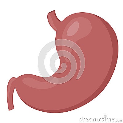 Human body inner organs healthy stomach Stock Photo