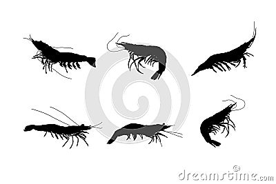 Set of silhouettes of shrimp vector design Vector Illustration