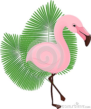 illustration cartoon flamingos Cartoon Illustration