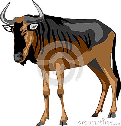 Blue wildebeest vector Vector Illustration