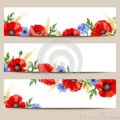 Web banners with poppies and cornflowers. Vector eps-10. Vector Illustration