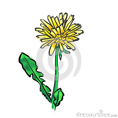 Web icons, flower vector, dandelion Cartoon Illustration