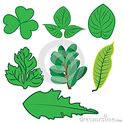 Web icons, Leaves vector, tropical leaves Vector Illustration