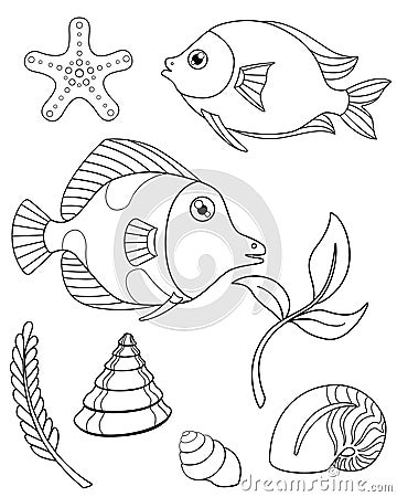 Set of aquarium or tropical fish, plants and mollusks for coloring. Vector linear pictures with fish, starfish algae and shells. Vector Illustration