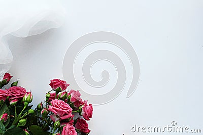 Wedding background roses white textile waves Stock Photo