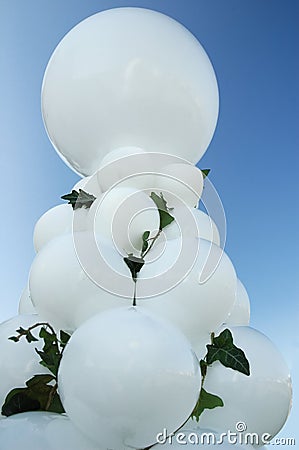 Wedding baloons Stock Photo