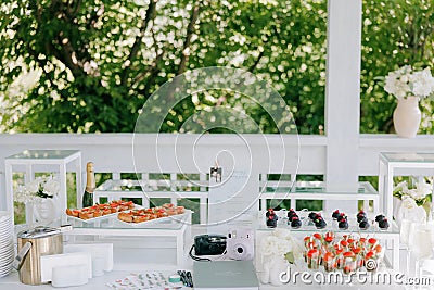 Wedding banquet table setting with champagne bottle, wineglasses, snacks and canapes Stock Photo