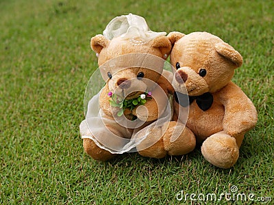 Wedding Bears on the Grass Stock Photo