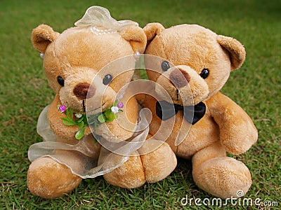 Wedding Bears on the Grass Stock Photo