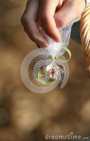 Wedding Bird Seed Throw Stock Photos - Image: 360703