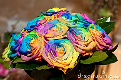 Wedding bouquet with rainbow roses Stock Photo